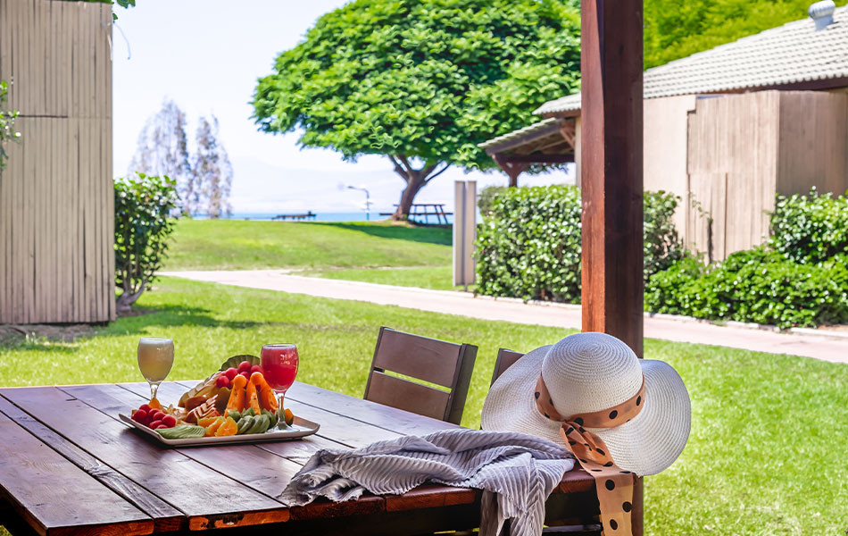 אוליב גילבוע