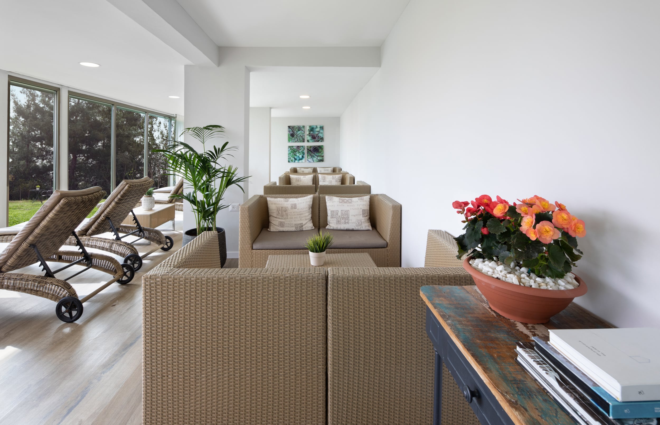 אסיינדה ביער C HOTELS