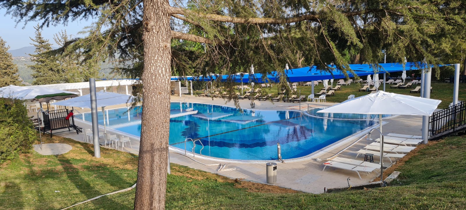 אסיינדה ביער C HOTELS