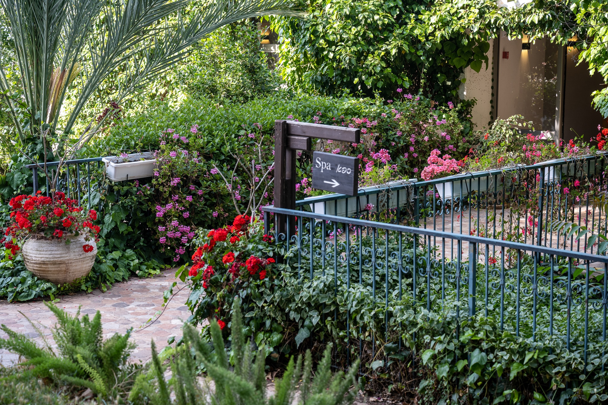 אסיינדה ביער C HOTELS