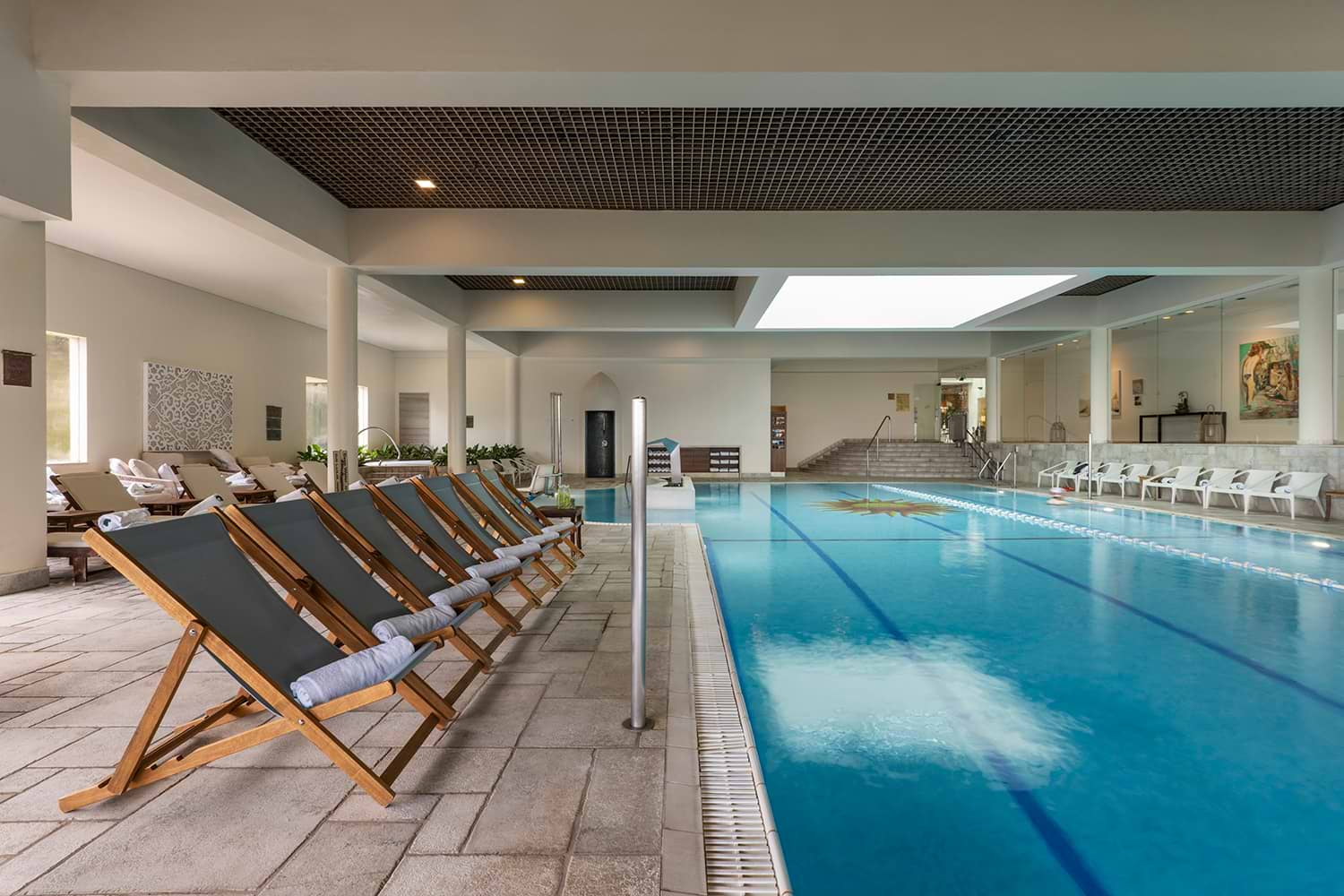 יערות הכרמל