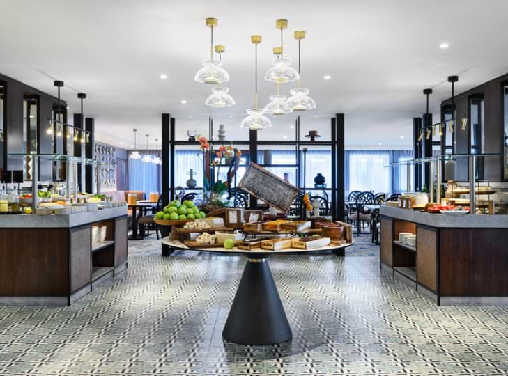 יערות הכרמל