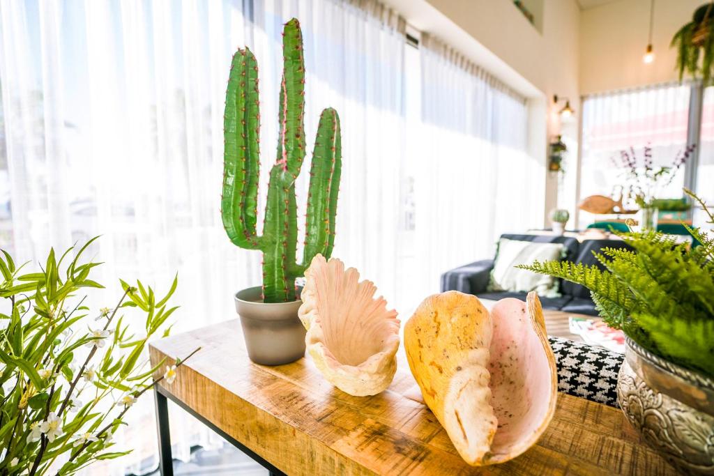 רוקסון סי סאנד