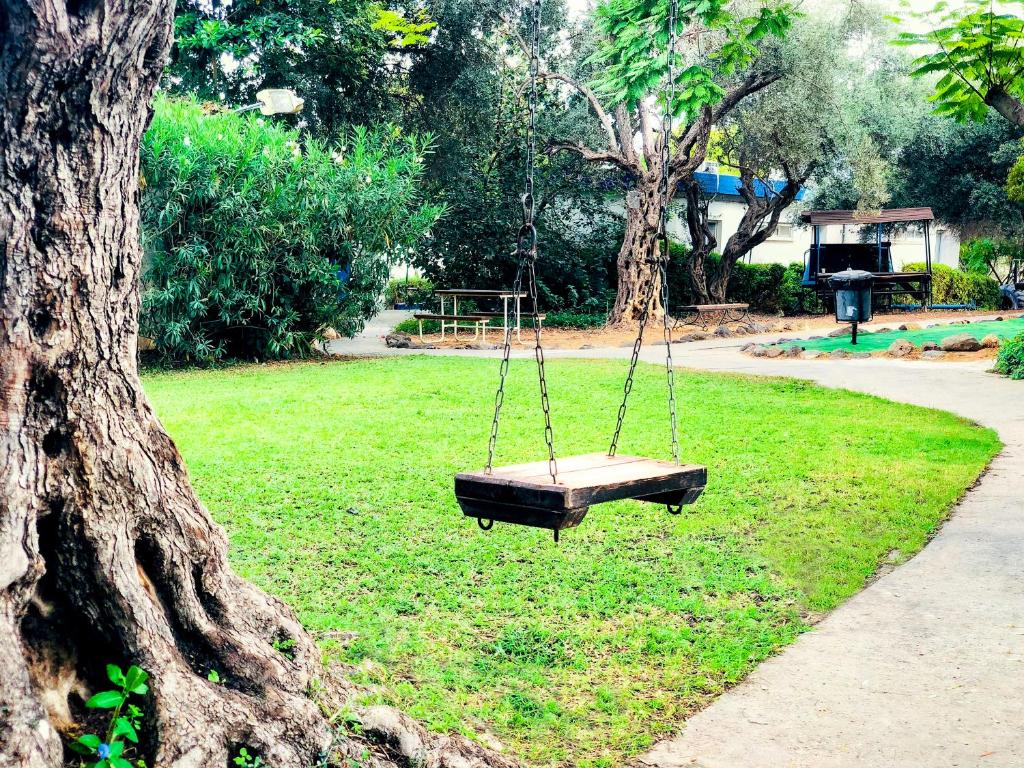 מטיילים גשר הזיו