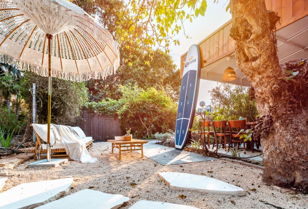 דולפין ויליג