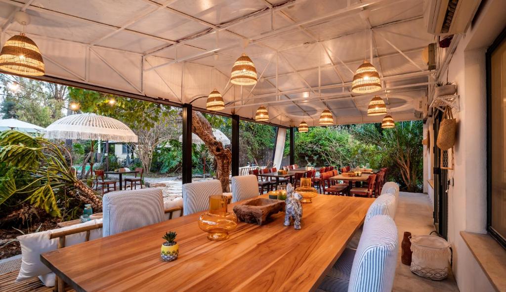 דולפין ויליג