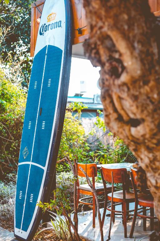 דולפין ויליג