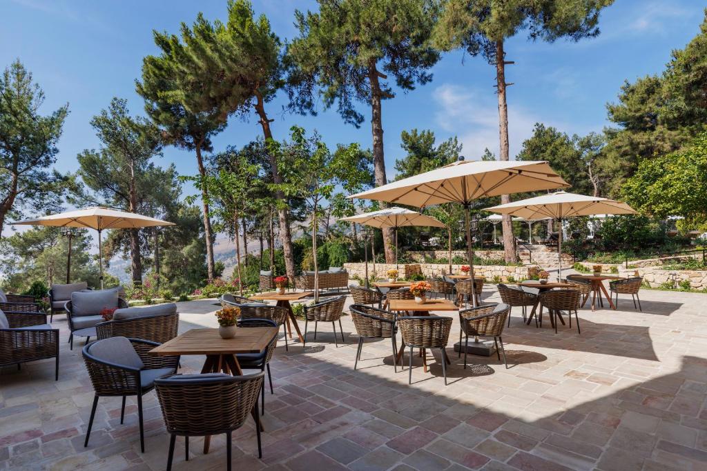 סטאי בית בגליל