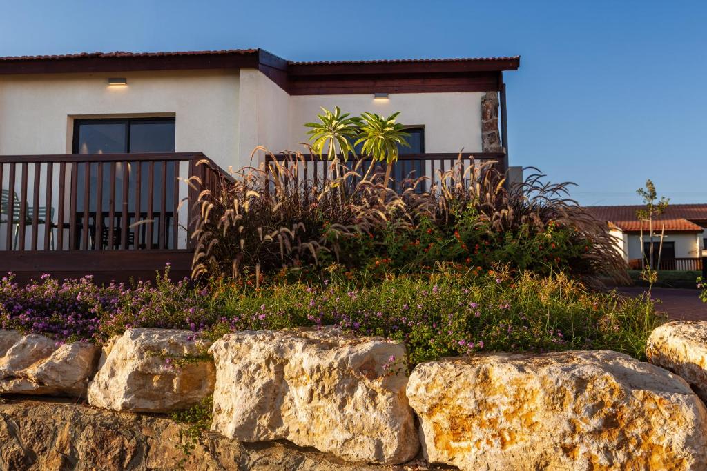 רוקסון דזרט