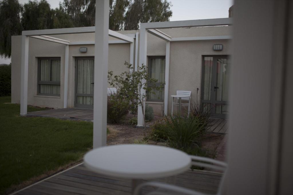 אירוס המדבר