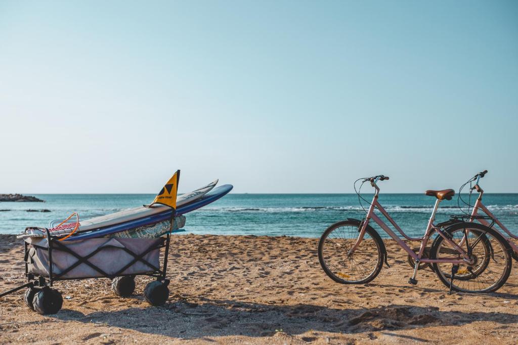 דולפין ויליג