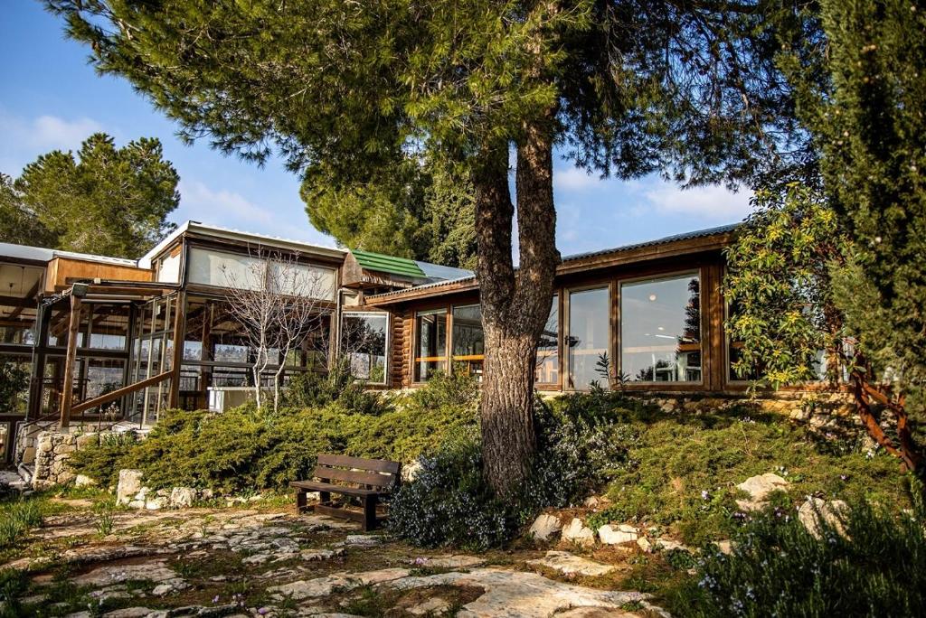 לוגוס יד השמונה