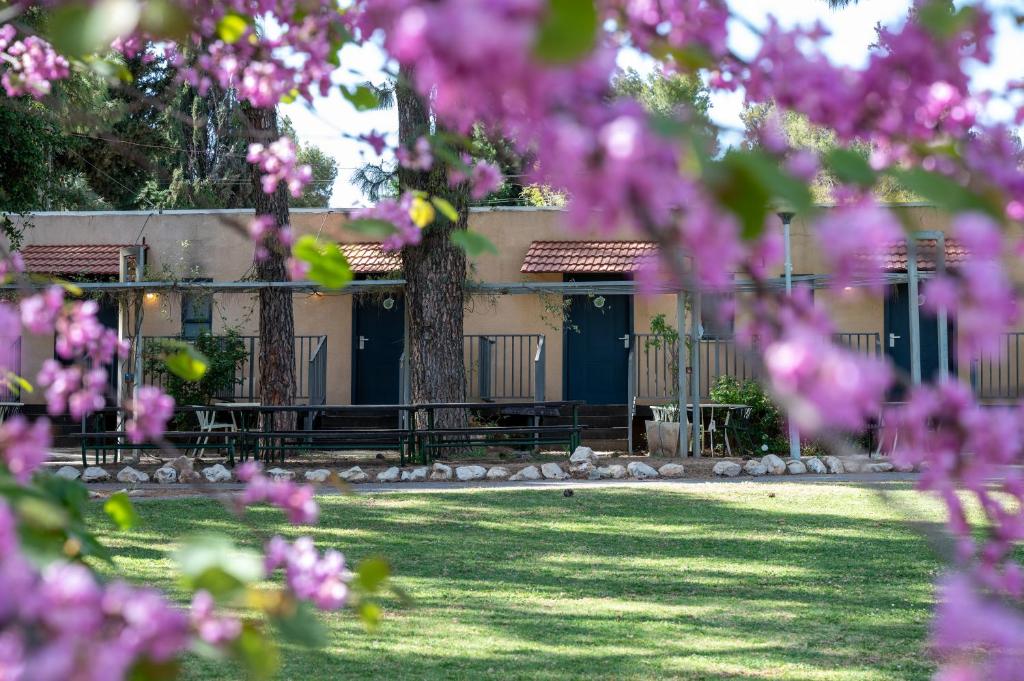 מטיילים מלכיה