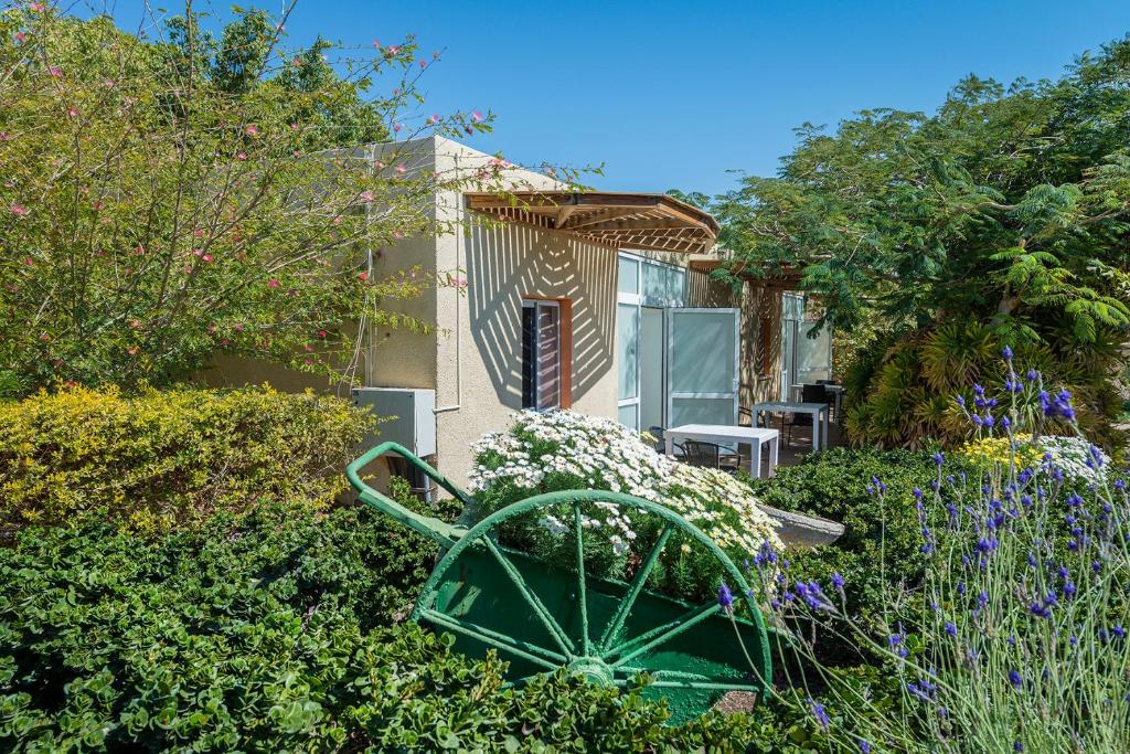 אילות - אירוח כפרי