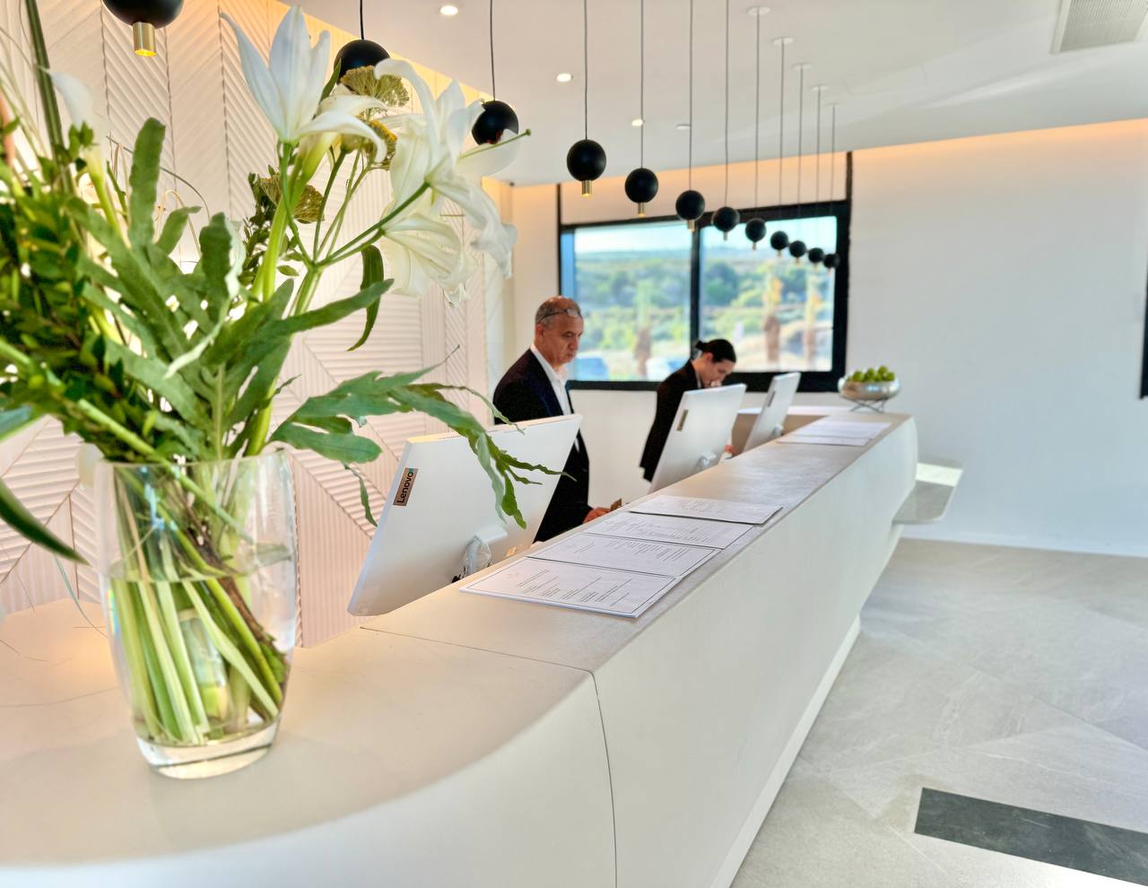 נבל דוד כנרת