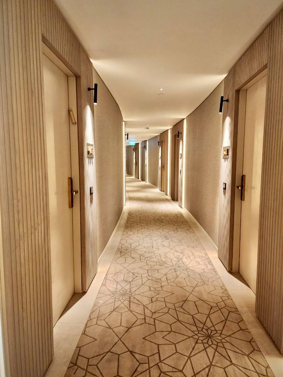 נבל דוד כנרת