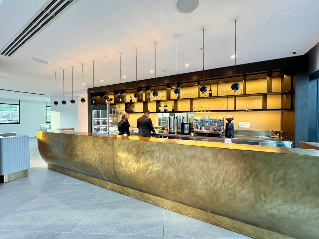 נבל דוד כנרת