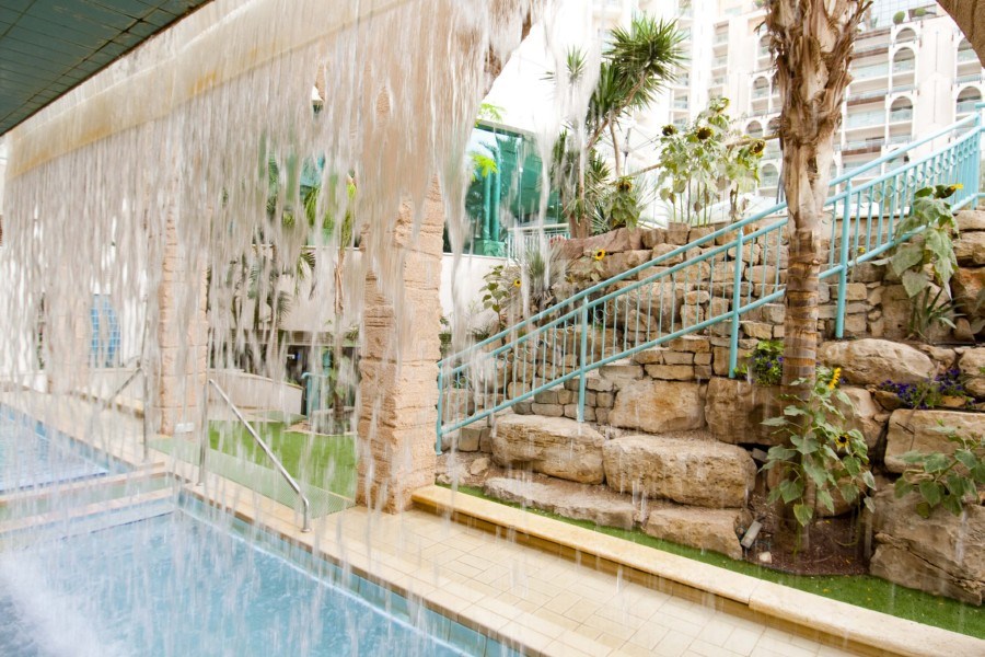 הרודס ויטליס