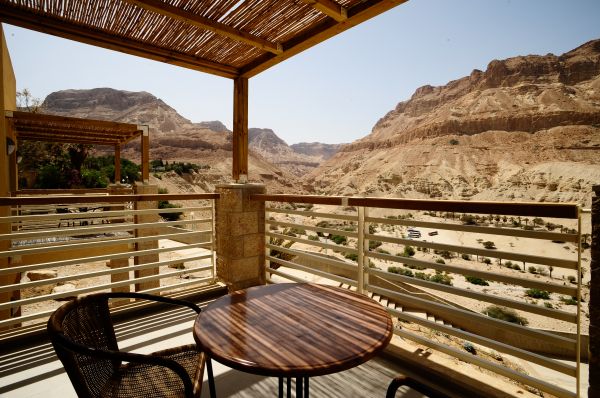 מלון עין גדי