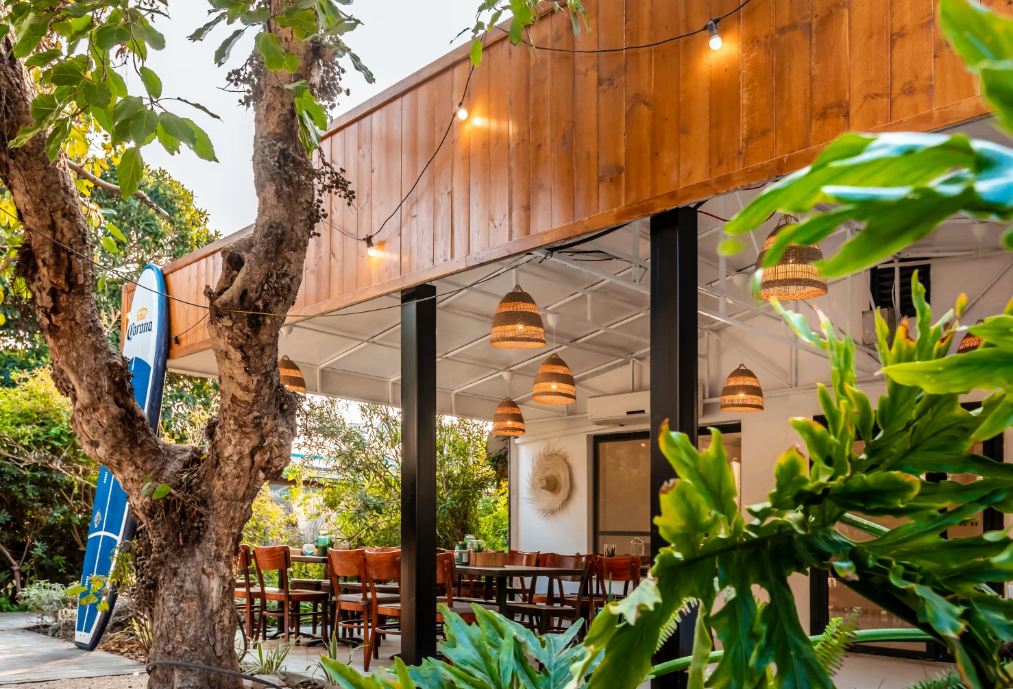 דולפין ויליג