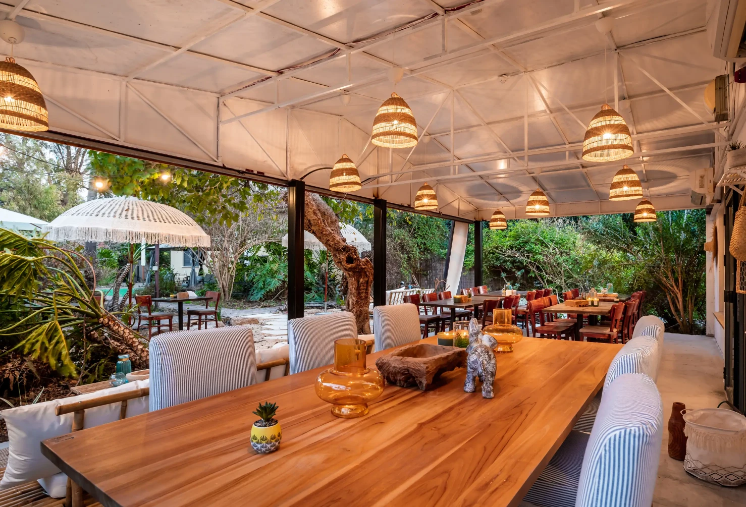 דולפין ויליג