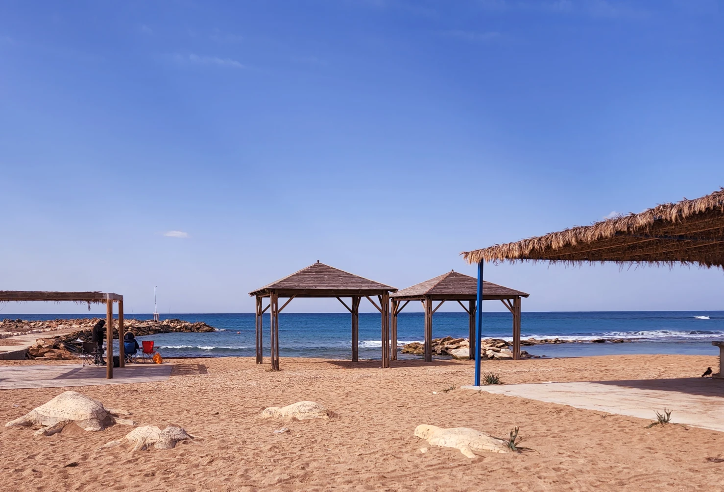 דולפין ויליג