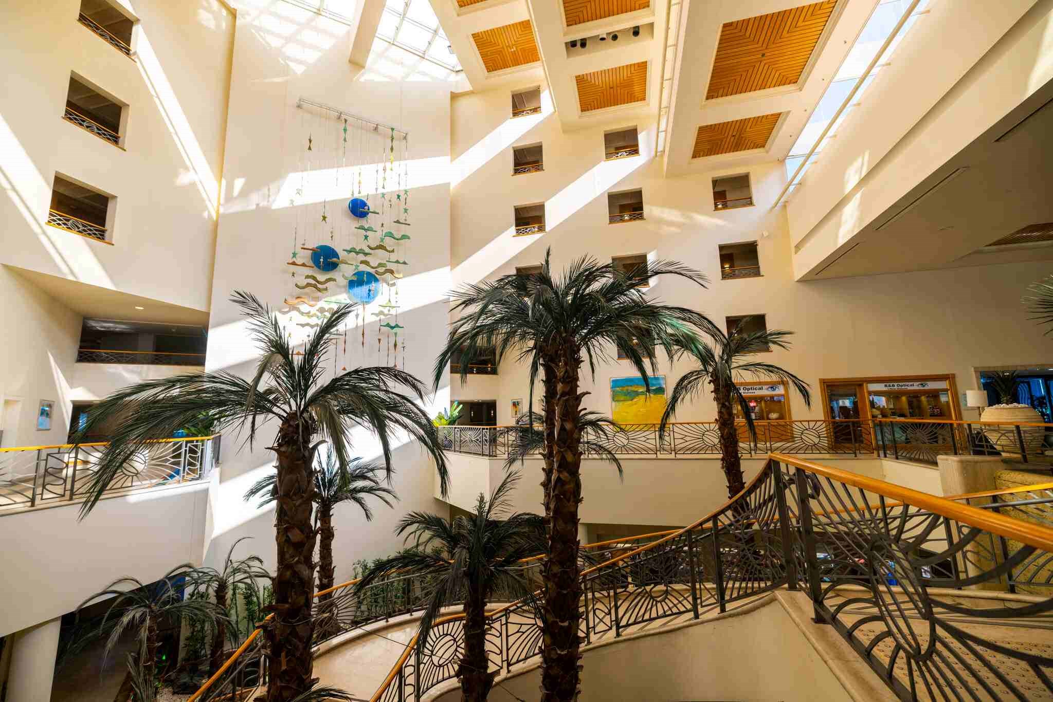 דיוויד ריזורט