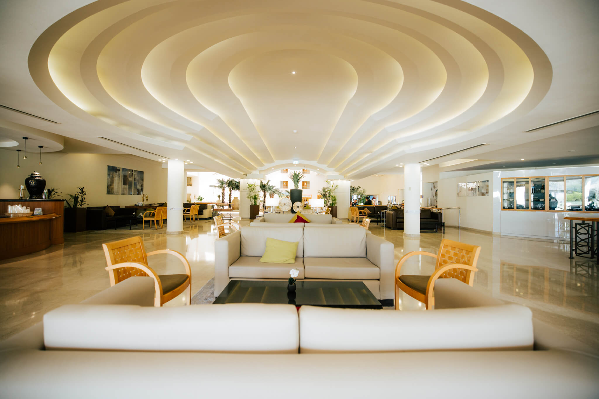 דיוויד ריזורט