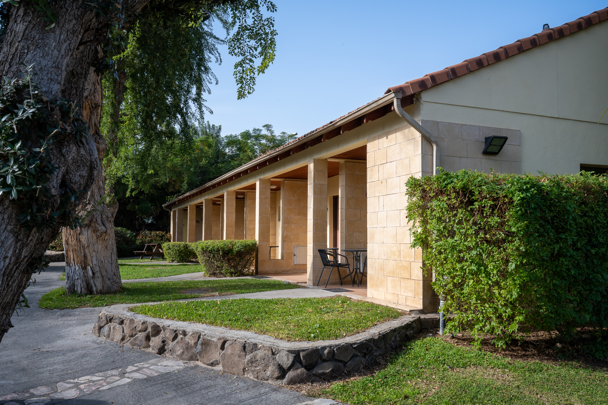 ג'יקוב אוהלו