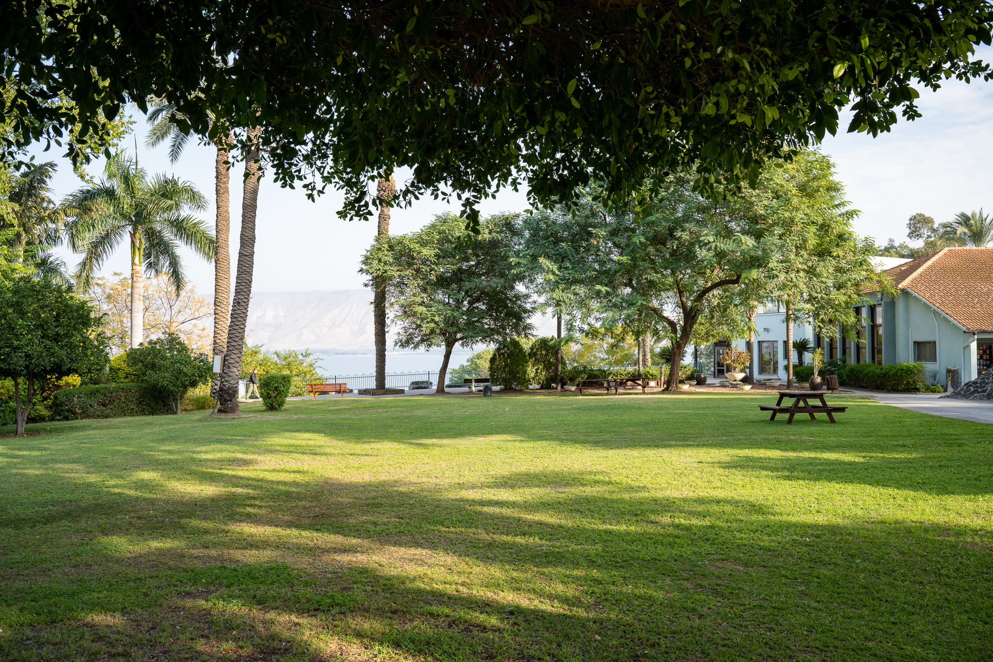 ג'יקוב אוהלו