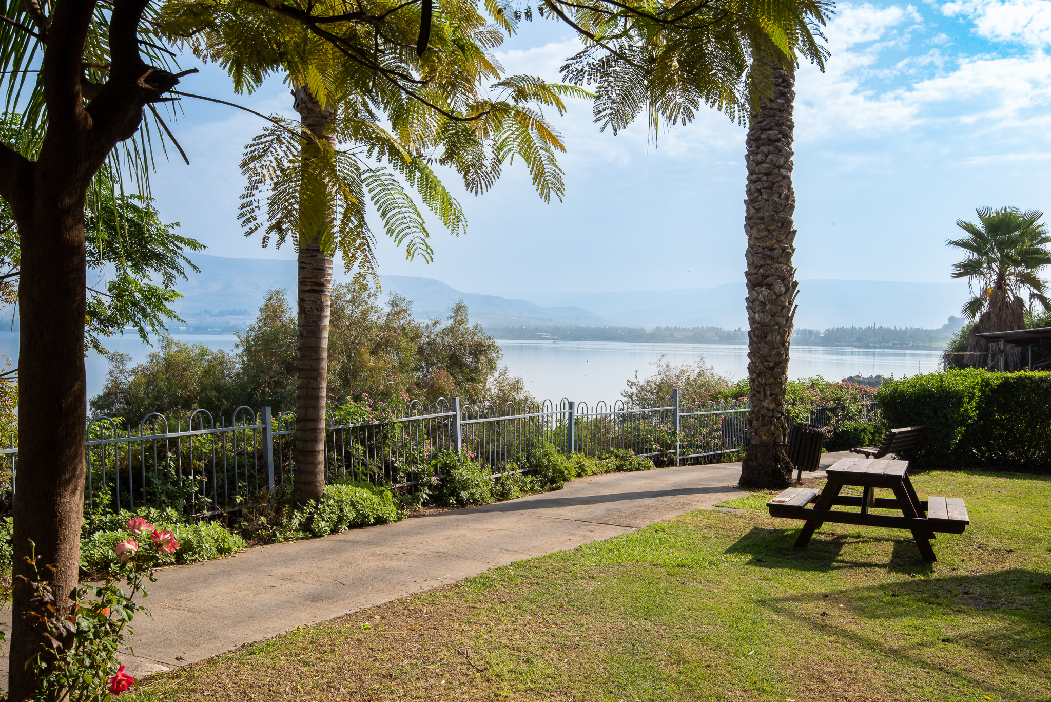 ג'יקוב אוהלו