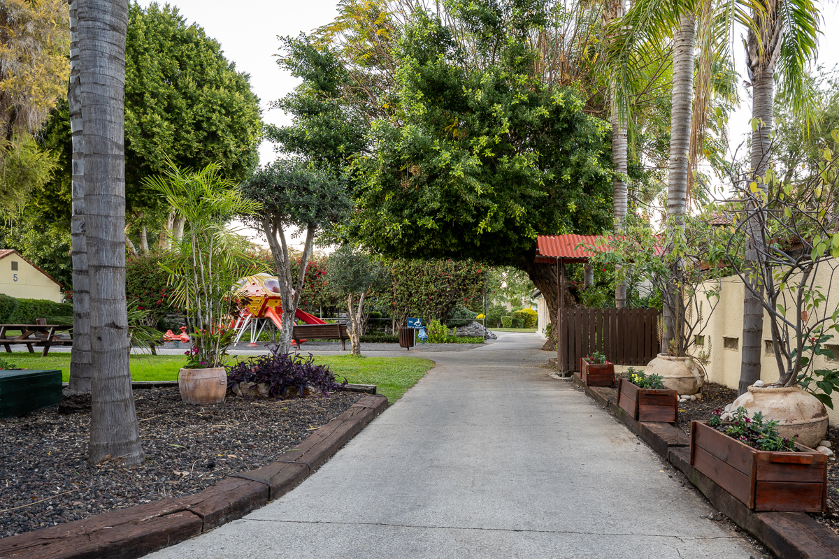 ג'יקוב אוהלו