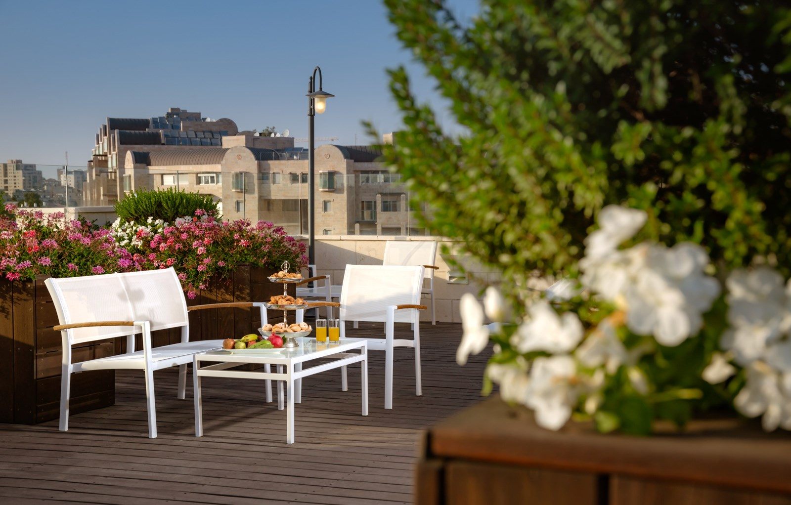 פרימה רויאל