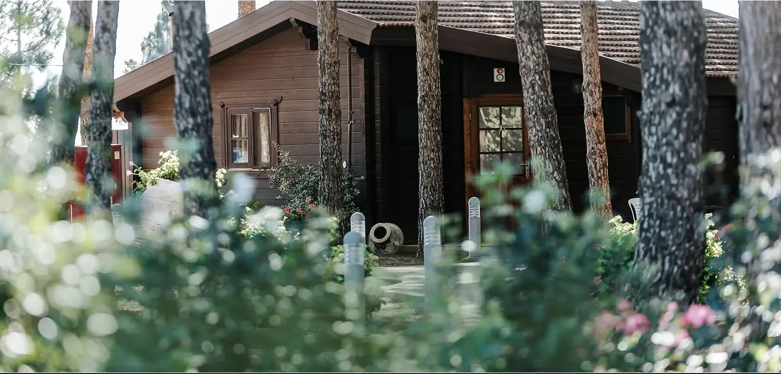 תיירות אורטל