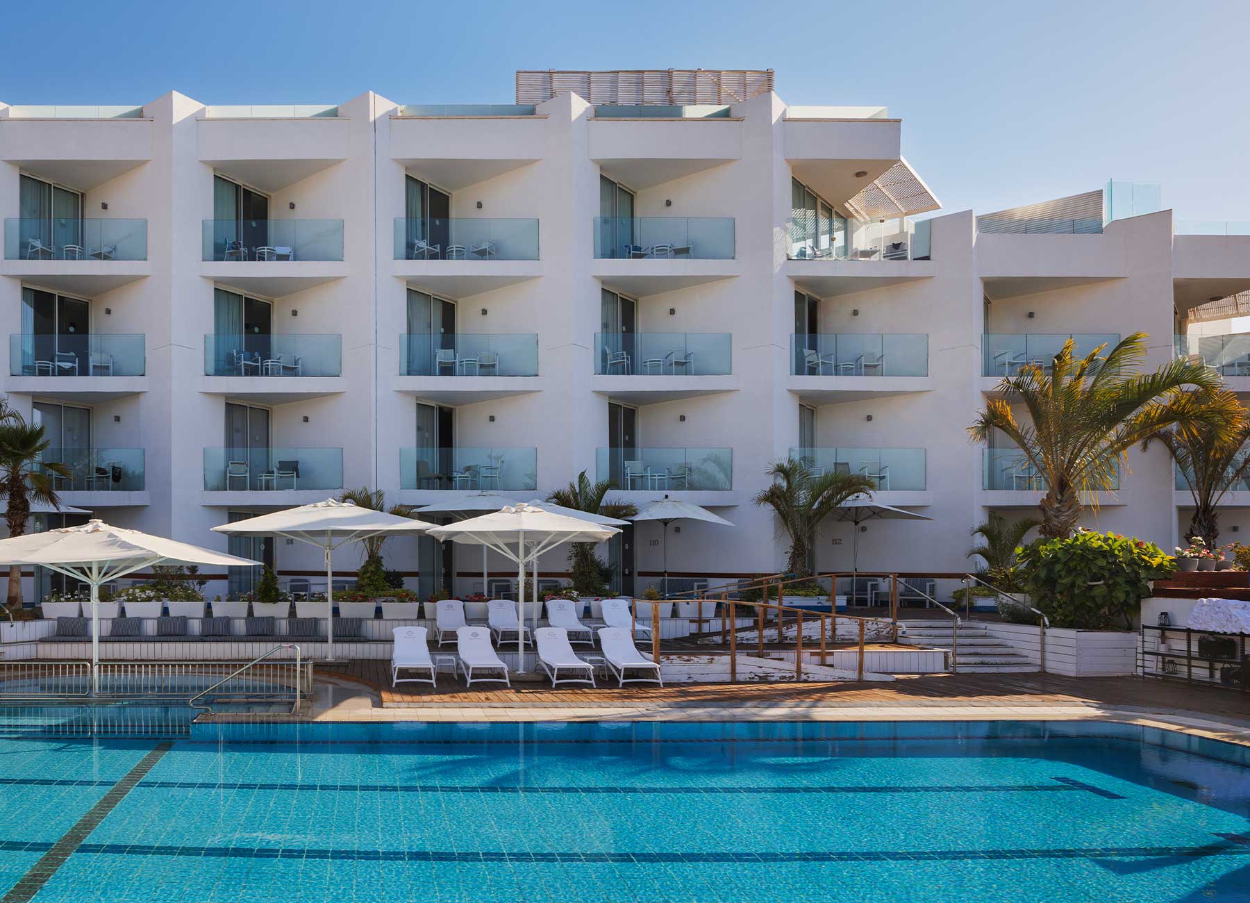 הרברט סמואל ריף