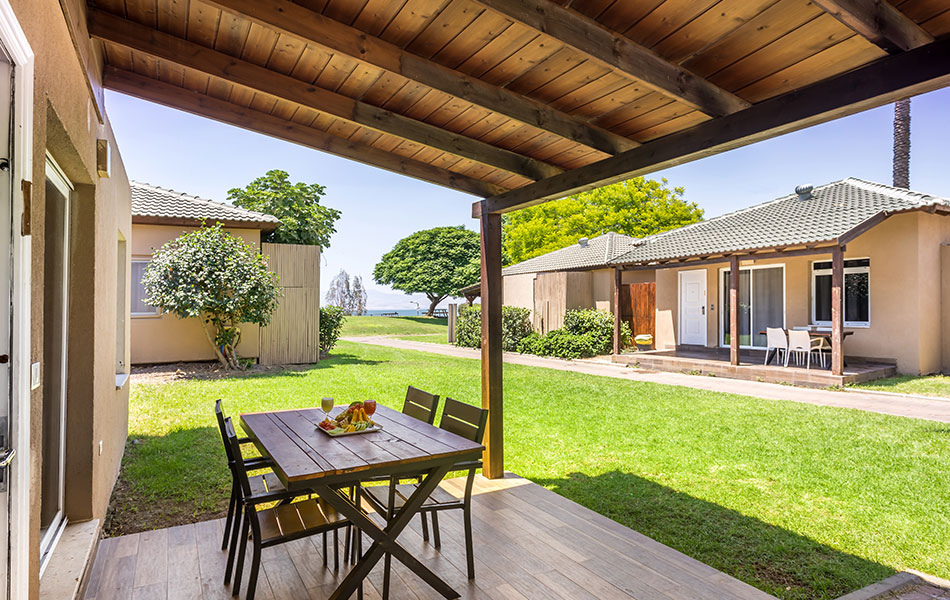 אוליב גילבוע