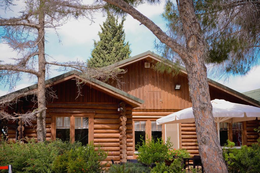 לוגוס יד השמונה