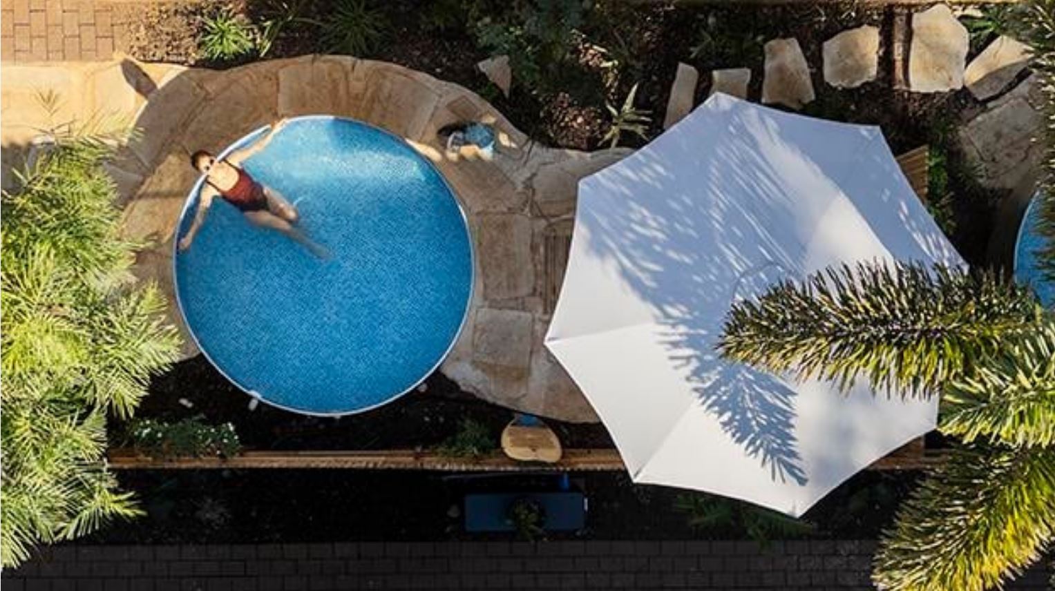 דולפין ויליג