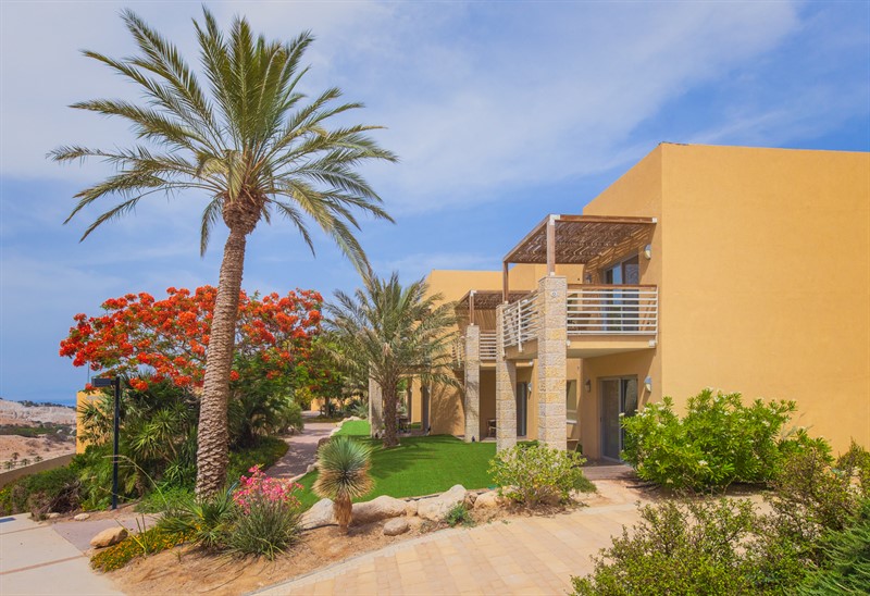 מלון עין גדי