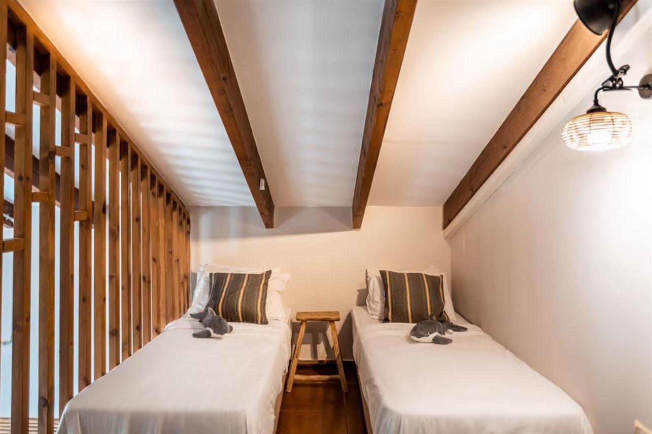 דולפין ויליג