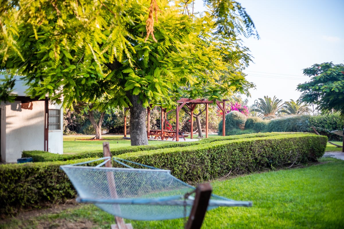 חוף נחשולים