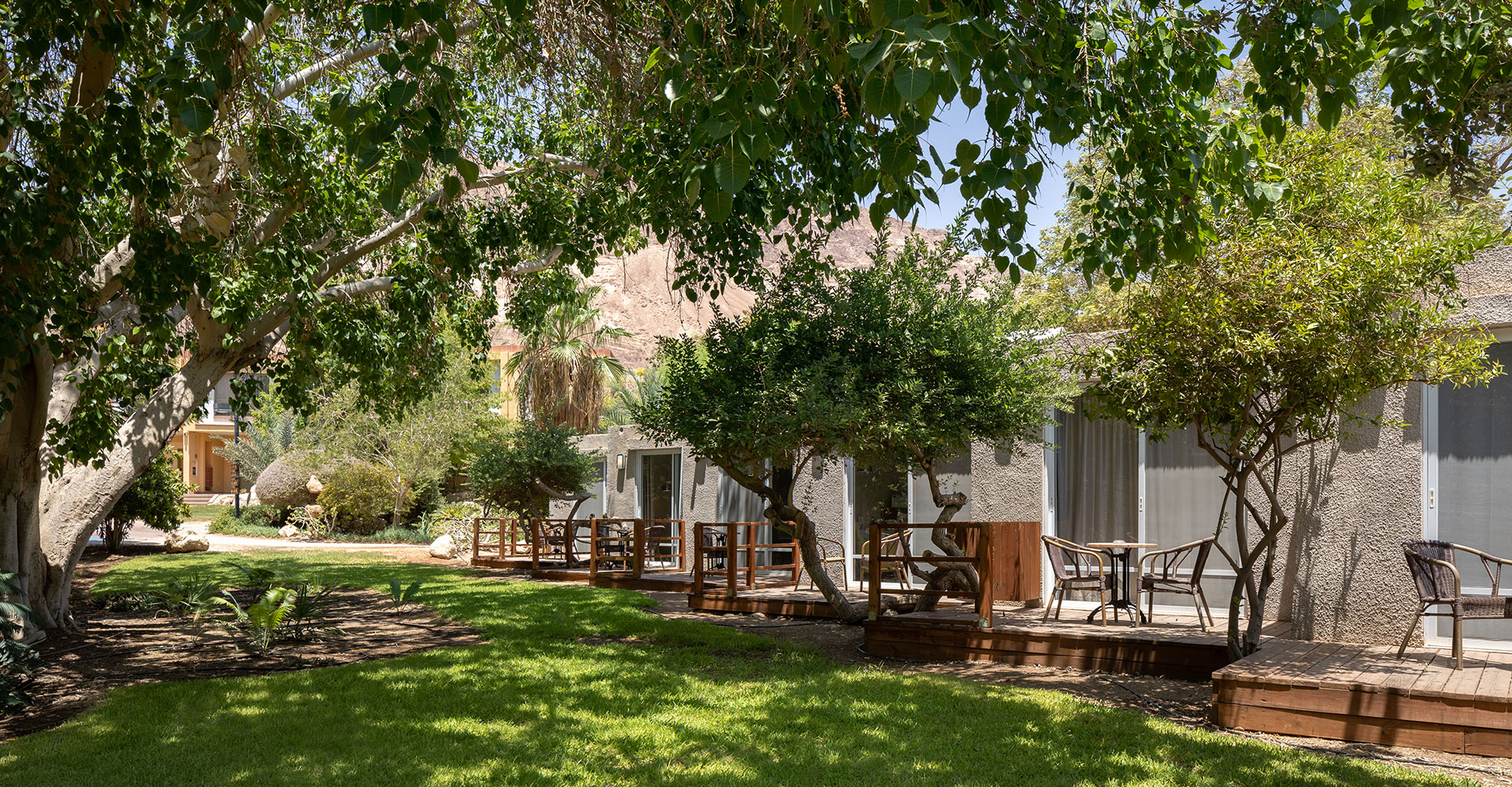 מלון עין גדי