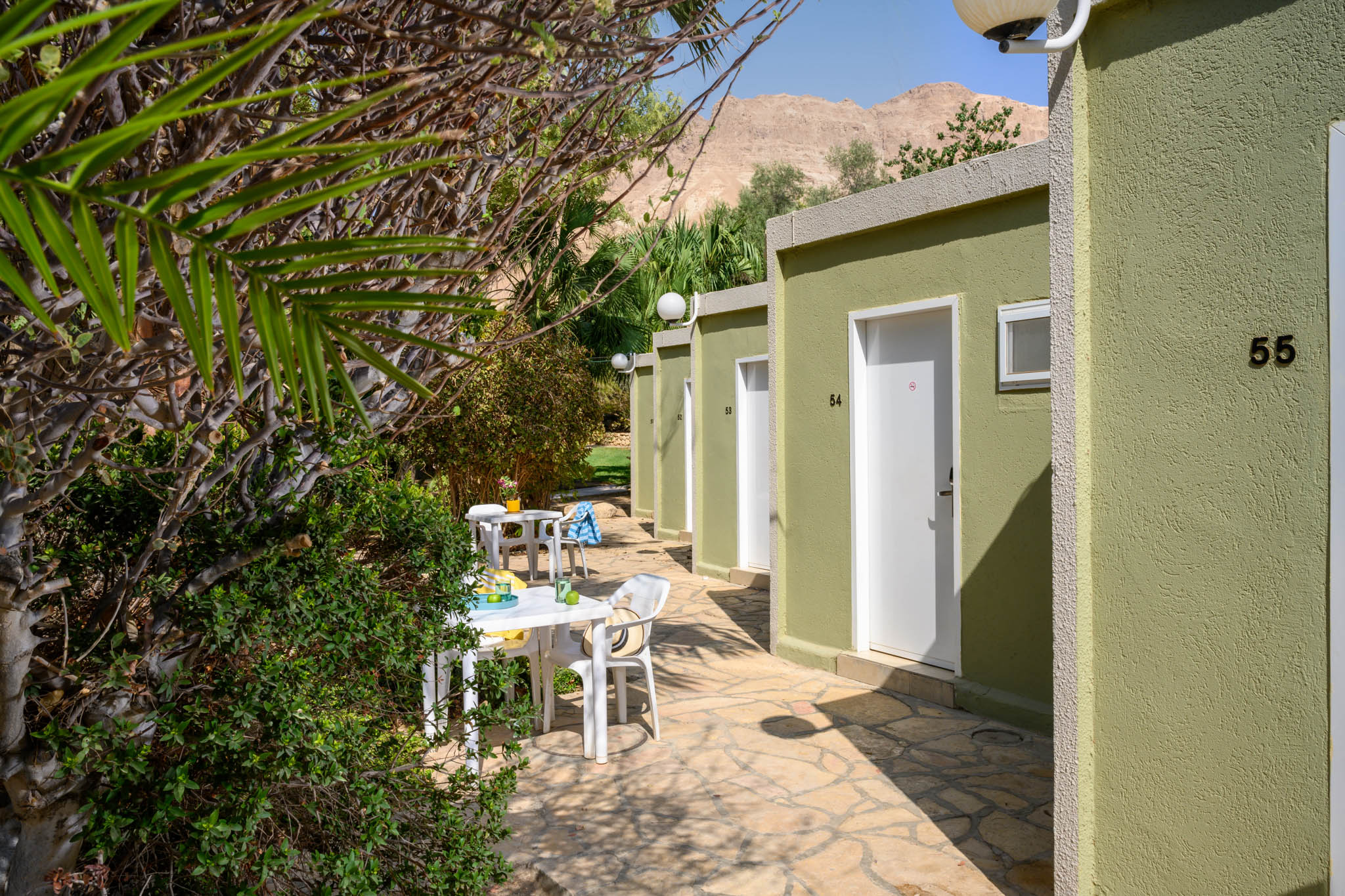 מלון עין גדי