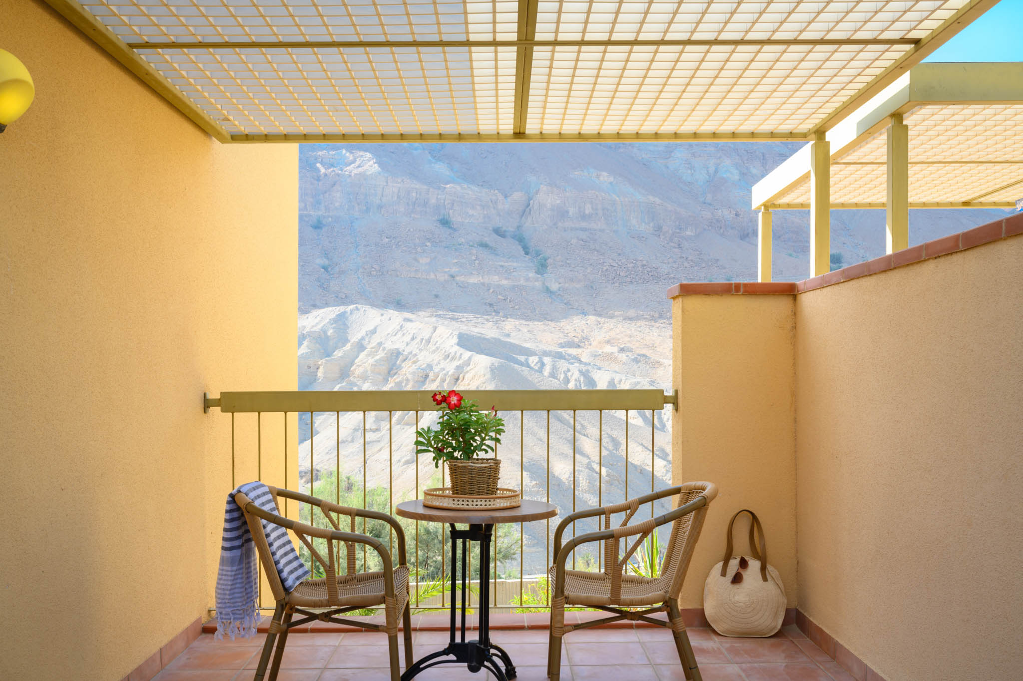 מלון עין גדי