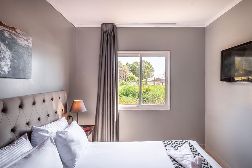 אוליב גילבוע