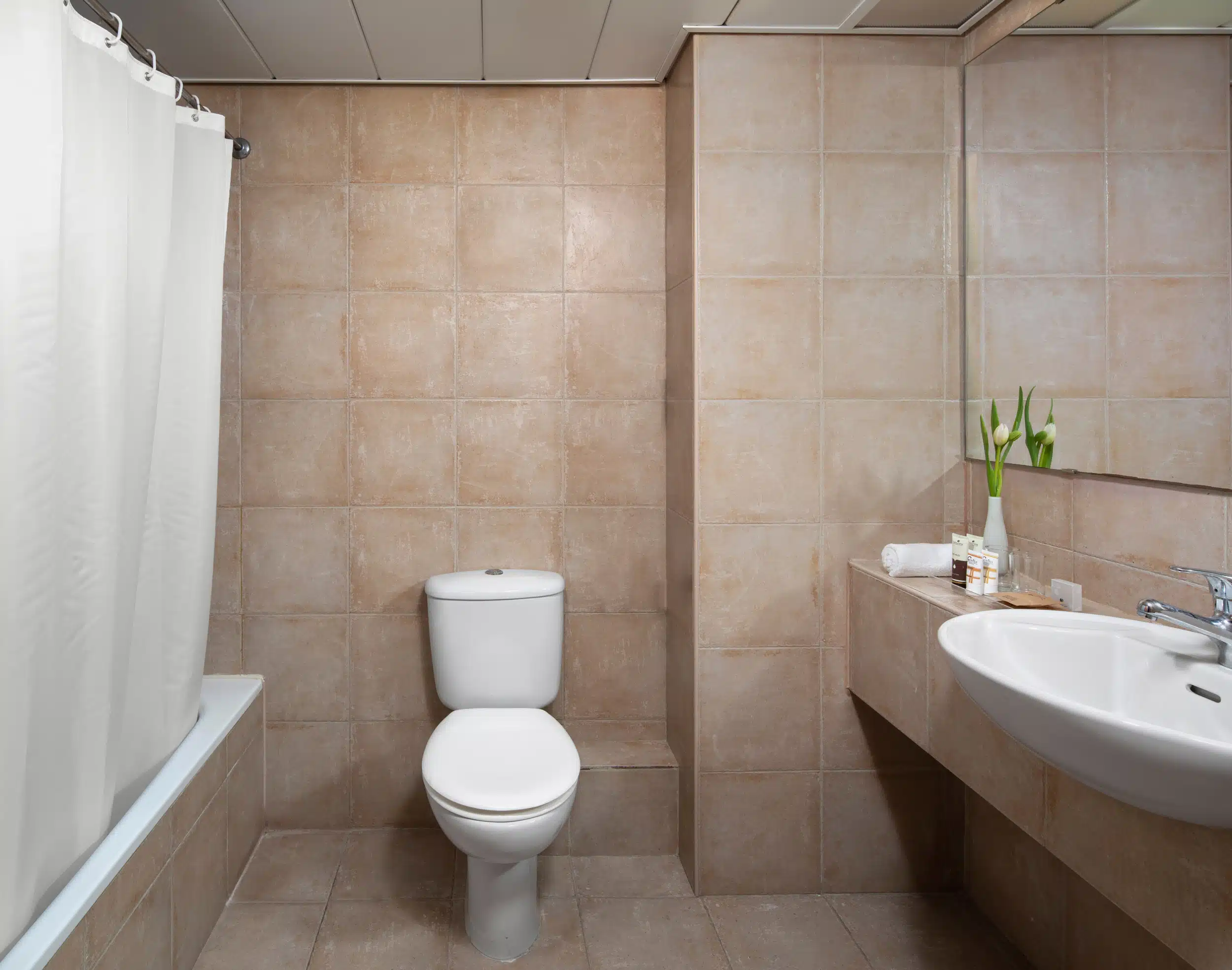 C HOTELS נווה אילן