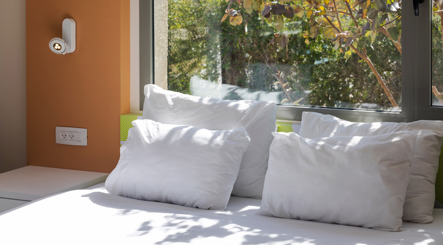 אירוס המדבר