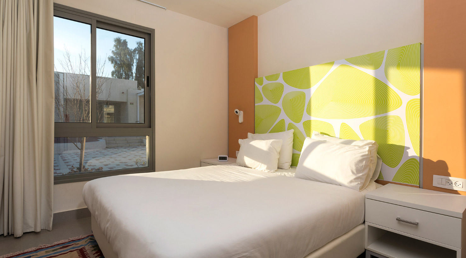 אירוס המדבר