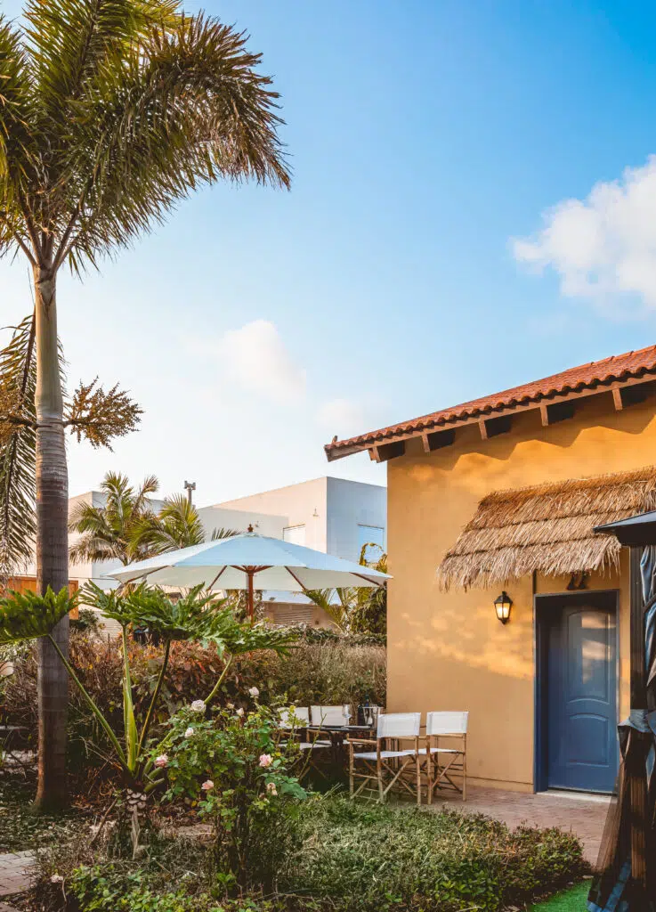 דולפין ויליג